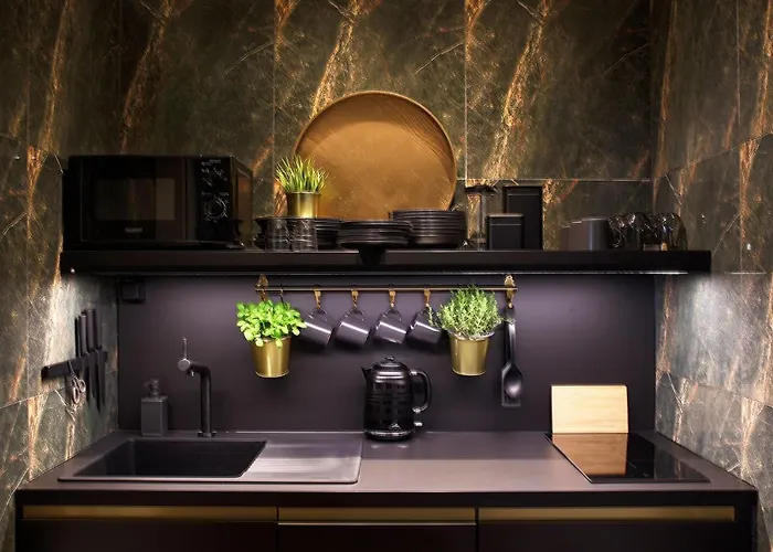 Chase Apartments-boutiquehotel Style Ii 3* Würzburg